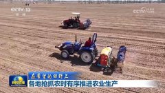 <strong>【正在但愿的郊野上】各</strong>