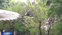 给树林“拍CT”、批示机械